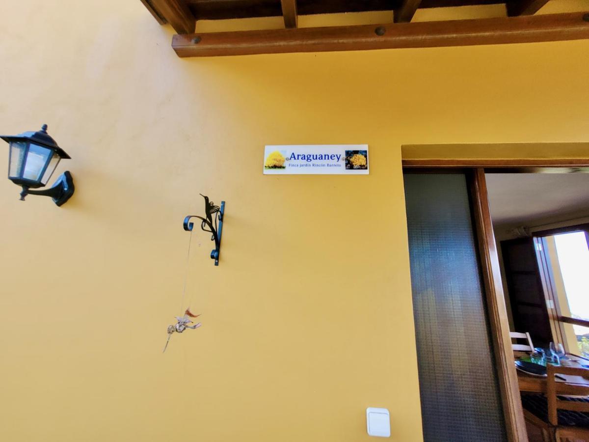 Bollullo Sunset - Araguaney Apartman La Orotava Kültér fotó